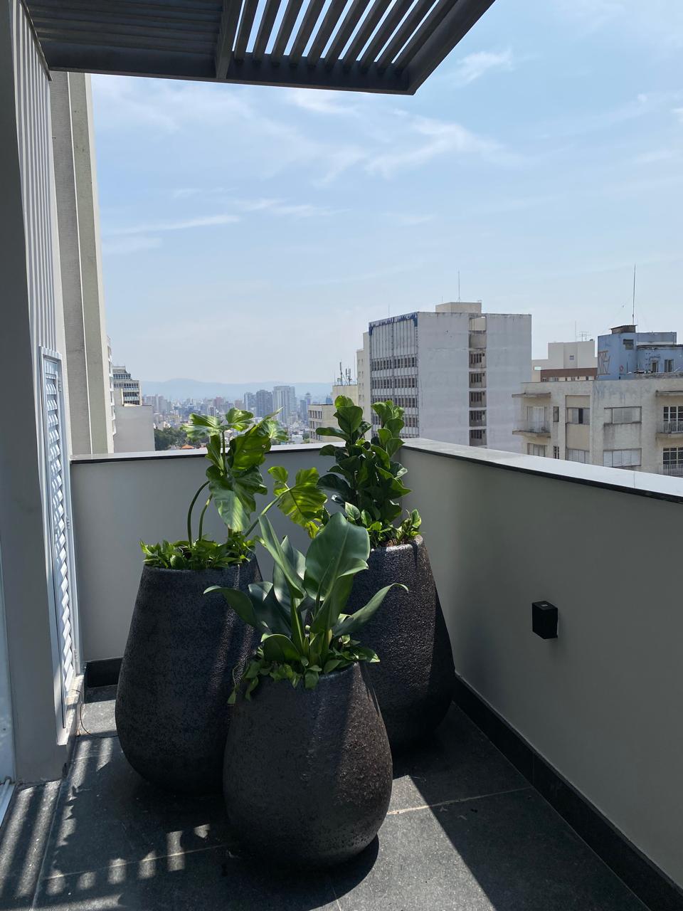 Composição de plantas em ambiente urbano